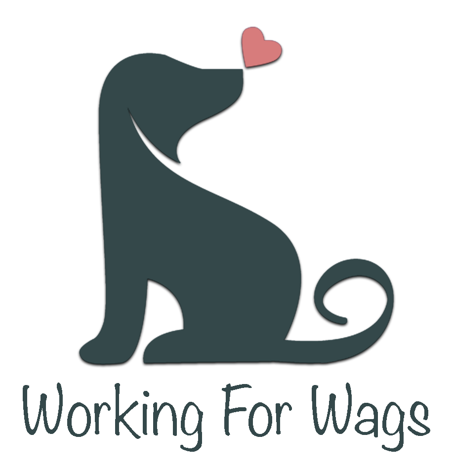 Working For Wags ~ dog walking & pet siting.