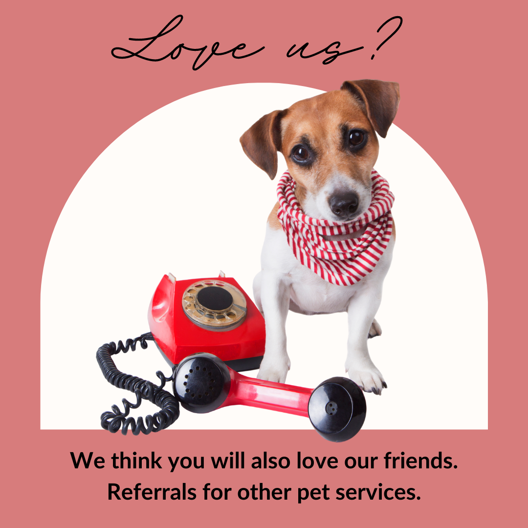 Looking for referrals for other pet services?