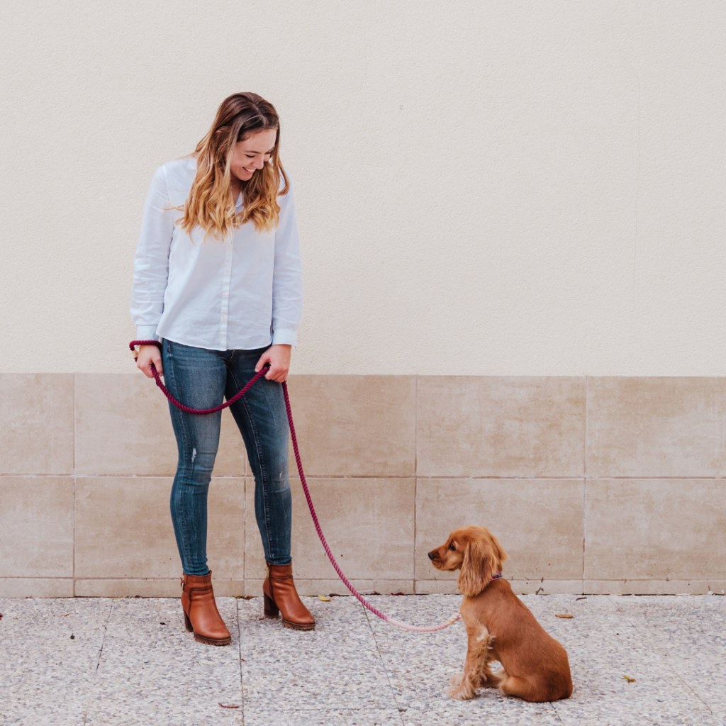 How to Get Your Dog Ready for Membership at The Bark Park Tucson’s