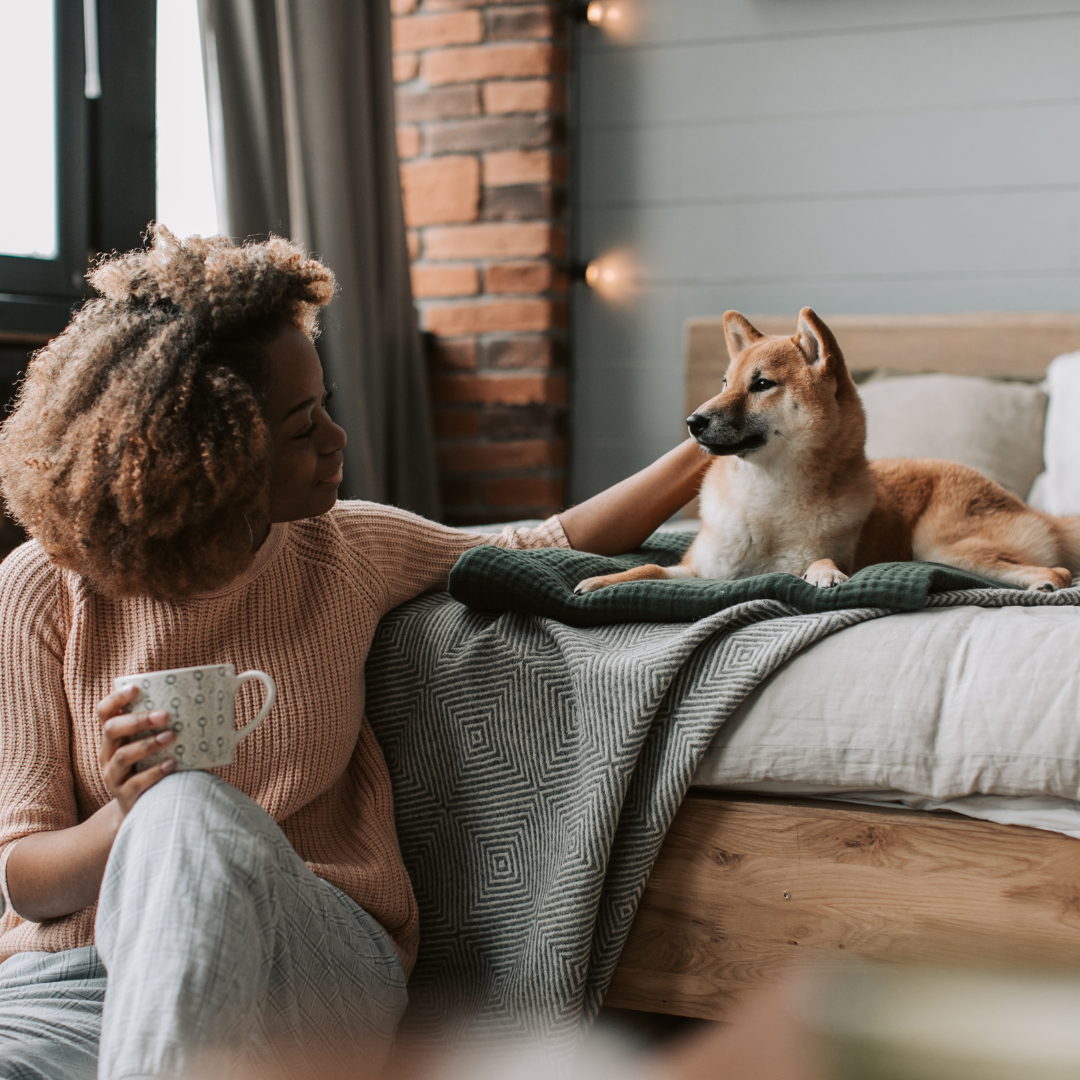 Tips for New Pet Paw-rents: How to Help Your New Dog Feel At Home