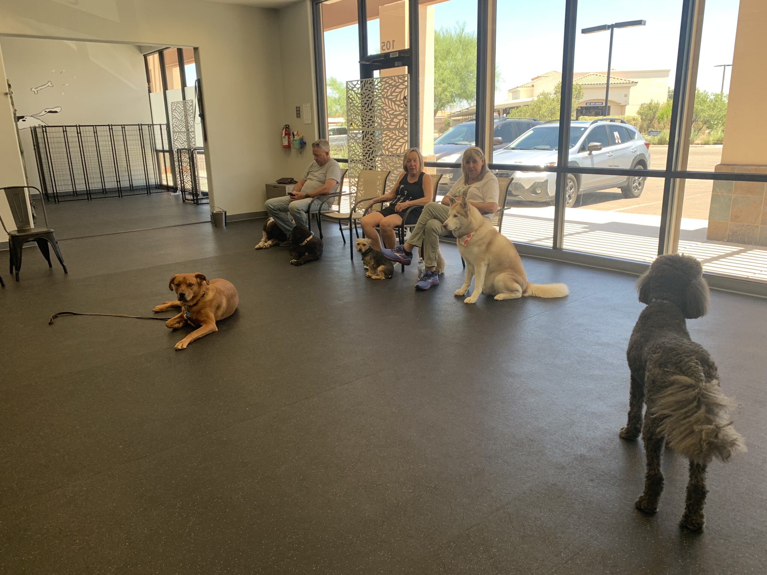 What Makes Our Dog Park Different? Transparency